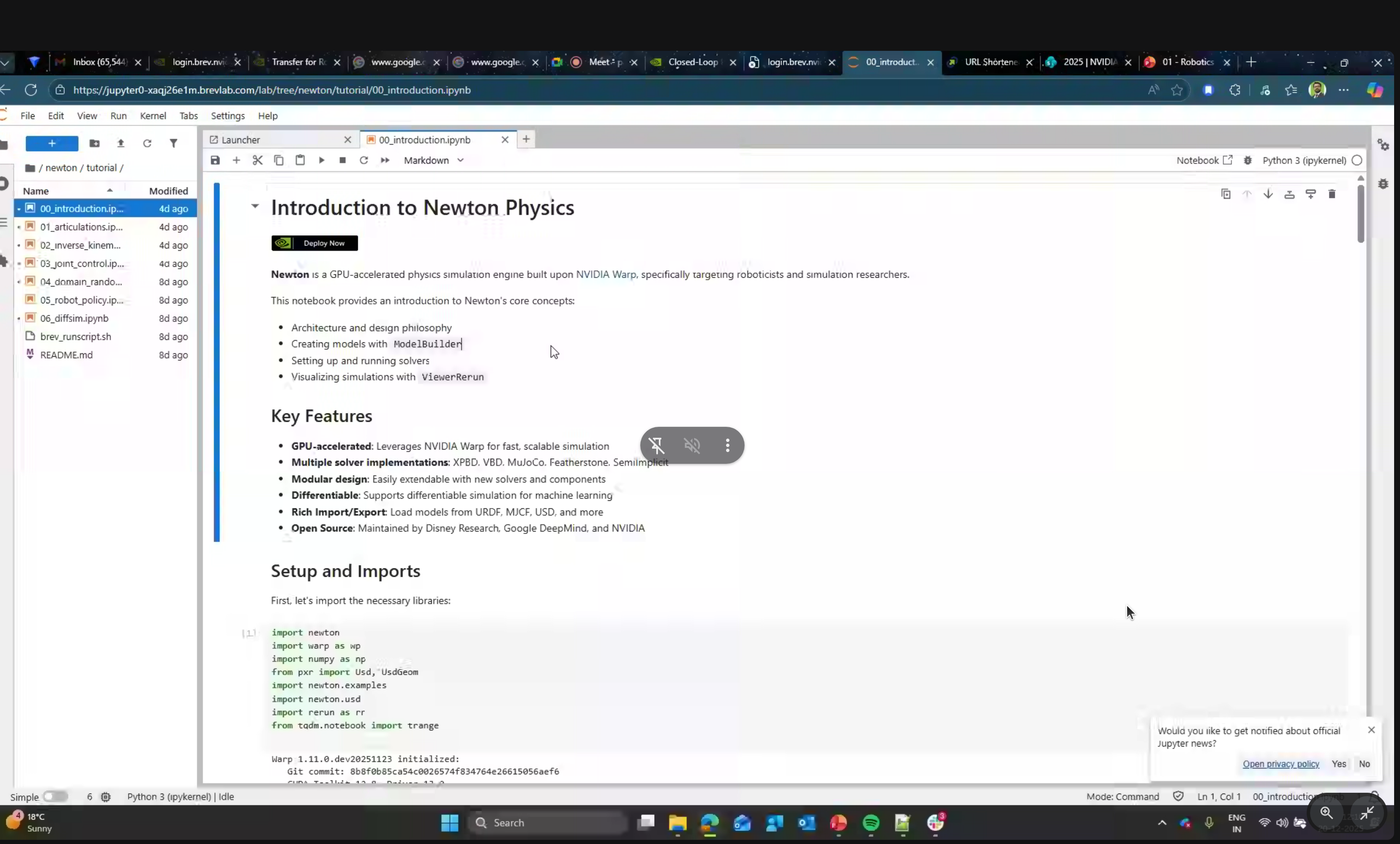 Jupyter notebook view of introduction