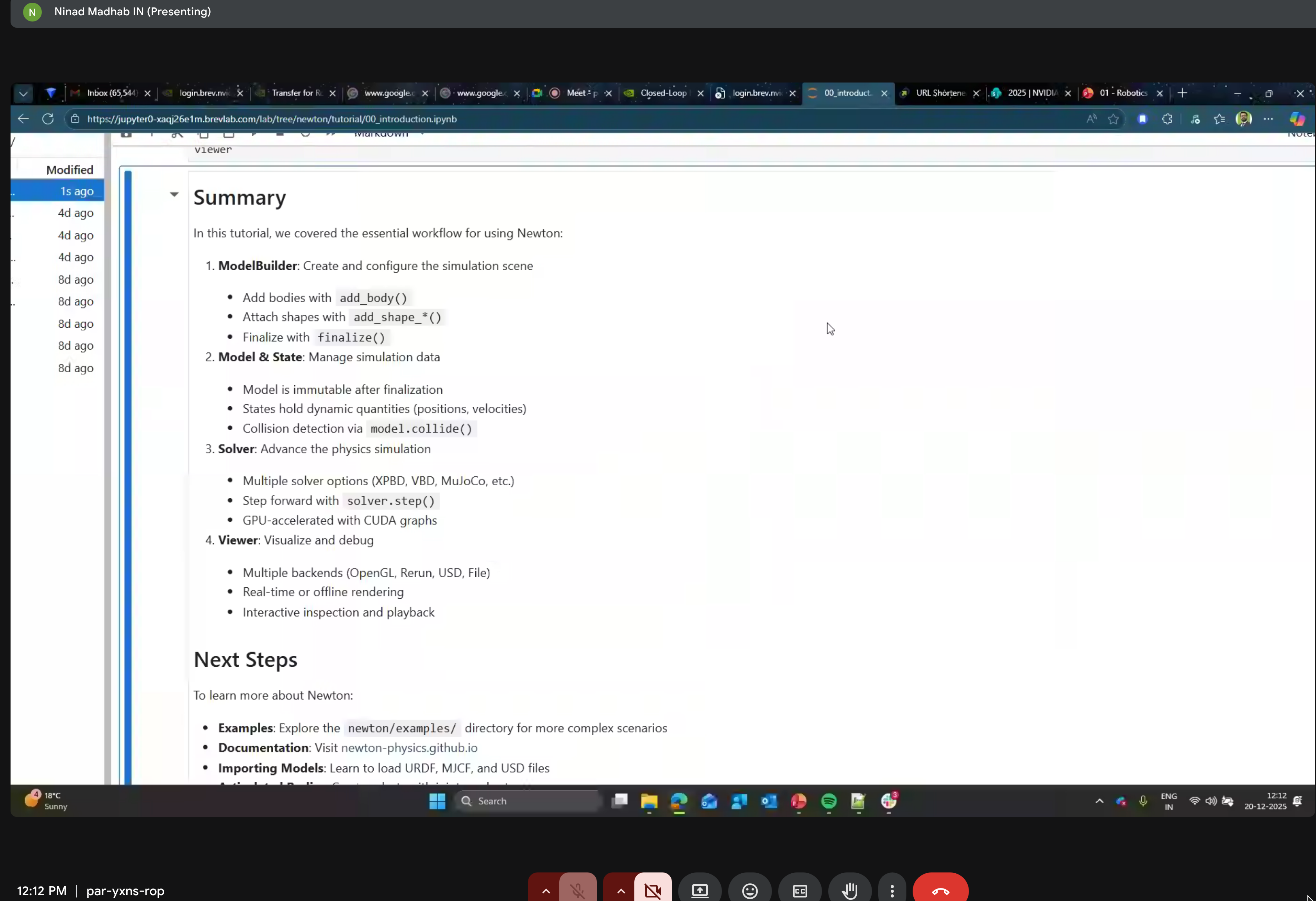Essential Newton workflow summary
